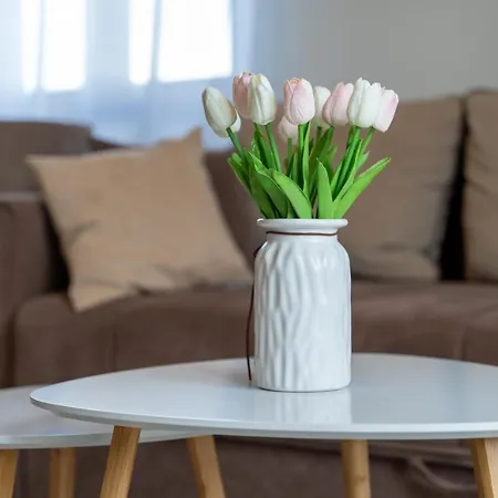 Hills Stars Appart hôtel Zlatibor